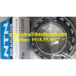 BẠC ĐẠN 22220EAD1 - 22220 -  NTN